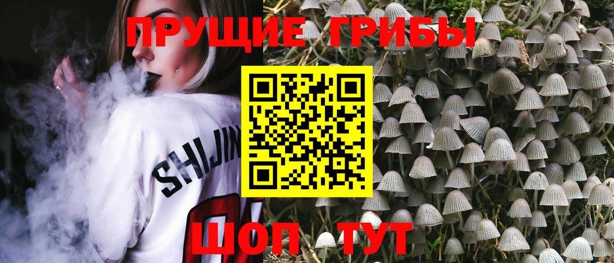 Псилоцибиновые грибы Cubensis  Вход с VPN  Канаш 